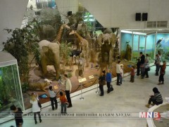 Үлэг гүрвэлийн музейд тоглоомын үзэсгэлэн гарлаа