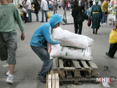 10 мянган хүүхэд тэвчишгүй, хүнд хөдөлмөр эрхэлж байна   