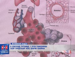 6 секунд тутамд 1 хүн тамхины хор уршгаар нас барж байна