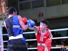 Ширэн бээлийтнүүд Бакугийн татамид хүч үзнэ