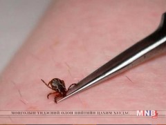 Хачигт хазуулахаас болгоожлохыг анхаарууллаа