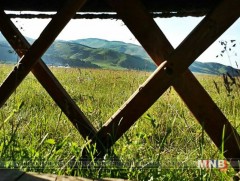 Зарим суманд зуншлага тааруу байна