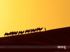 Энэтхэгт торгоны замыг судлах шинэ төрлийн аялал эрчимтэй хөгжиж байна 