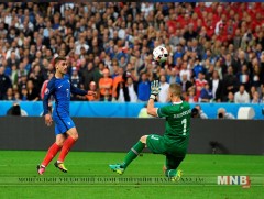 Талбайн эзэд бут ниргэж байна