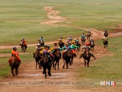 Түрүүлж, айрагдсан морьдын цувааг толилуулья