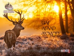 Улаанбаатарт өдөртөө 32 хэм дулаан