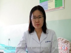 Долоодугаар сарын дунд үеэс шарилжны харшилтай хүмүүсийн өвчин хөдөлдөг