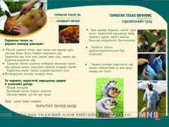 Тарвага агнах, худалдаалах, худалдан авахгүй байхыг анхааруулж байна