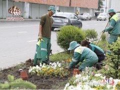 Иргэн, аж ахуйн нэгжийг орчноо тохижуулахыг уриалж байна