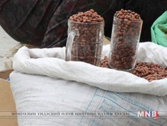 Түүхий самар давирхай ихтэй учраас нян, бохирдлыг амархан татдаг 