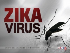 Нью-Йорк хотын 49 эмэгтэй зика вирусын халдвар авсан нь тогтоогджээ