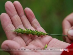 Тариаланчдад зээлээр шатахуун өгнө