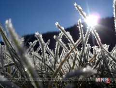 Сарын сүүлчээр хүйтэрч, хяруу унах төлөвтэй байна