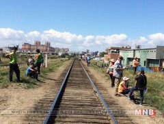 Нийслэлийн зарим талбайн зэрлэг ургамлыг устгав 