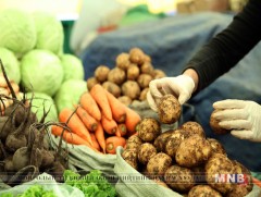 Импортын төмсөнд 20 хувийн татвар тавихаас өөр хязгаарлах боломж байдаггүй