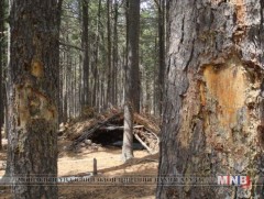 Өндөрхангай сумын малчид байгаль хамгаалагчийн түр үнэмлэхтэй болжээ