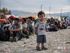 Эвлэрлийн үйл явцад нэгдэж буй Сирийн суурингуудын тоо нэмэгдсээр байна