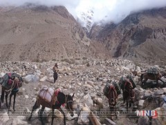 Соёл иргэншлээс хол бүс нутгийг үзэх хүсэлтэй хүний тоо нэмэгдэж байна 