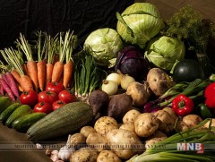 Жимс, хүнсний ногоог нийслэлийн 43 байршилд үнийн нэмэгдэлгүй борлуулна