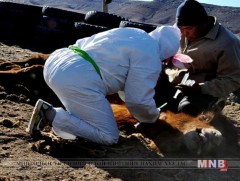 Боом өвчнөөр халдварласан хүн Дорнод аймгийн бүсийн оношлогооны төвд эмчлүүлж байна