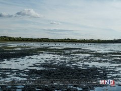 Ганга нуурыг 