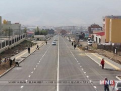 Монголд амьдардаг Япон иргэд мөнгө цуглуулж, Токиогийн гудамжийг тохижуулна