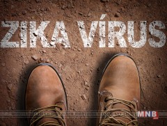 Малайз улсад зика вирусын халдварын 2 тохиолдол шинээр бүртгэгджээ