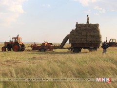 Архангайчууд 88 мянган тонн өвс, 3200 тонн тэжээл бэлтгэхээр төлөвлөжээ