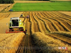 Увсынхан хүнсний ногооныхоо 75-80, гурилын 42 хувийг дотоодоосоо хангаж байна