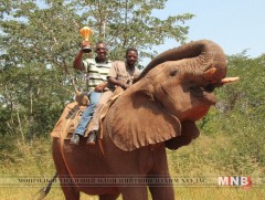 Африк тивд жуулчлах хүсэлтэй хүний тоо эрс нэмэгдэж байна 