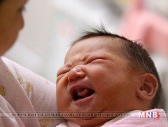 Гадаадад мэндэлсэн Монгол хүүхдүүдийн харьяаллыг хадгалах хэрэгтэй гэв