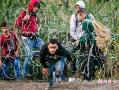 Дүрвэгч, цагаачдын асуудлыг хэлэлцэнэ