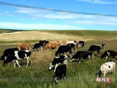 Цацраг идэвхт бодисын урт хугацааны нөлөөлөл малаас илэрчээ 