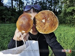 Латви улсад “Мөөг түүлтийн аварга” шалгаруулах тэмцээн боллоо