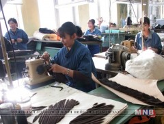 Хөдөлмөр эрхлэлт 60 гаруй хувьтай байна