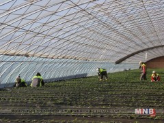 Хөдөө аж ахуйн паркийн 4 улирлын хүлэмжийн ажил эхэллээ 