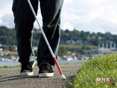 Хөгжлийн бэрхшээлтэй иргэдийн тэгш эрхийг хангах ёстой гэв