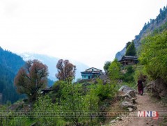 Гималайн нуруунд орших 