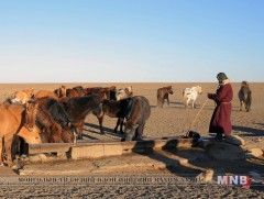 Манай улсад 30 гаруй мянган худаг ашиглагдаж байна 