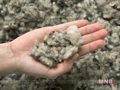 Ноосоо үндэсний үйлдвэрт тушаагаагүй бол урамшуулалд хамрагдах боломжгүй 