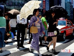 Японд хэт халалтаас болж 7 хоногт 563 хүн эмнэлэгт хүргэгджээ