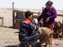 Малчид малынхаа эм тариаг зөв хэргэлэх сургалтад хамрагдлаа