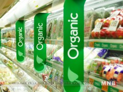 “Органик хүнс хөдөө аж ахуйн үндэсний анхдугаар чуулган”-ыг зохион байгууллаа