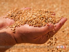 Тариаланч бүр хөнгөлөлттэй зээлд хамрагдах боломжгүй