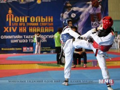 Таеквондогийн аваргууд өнөөдөр тодорно