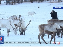 Ш.Содов: Цаа буга байхгүй бол бид тайгын зэрлэг хүмүүс болж хувирна