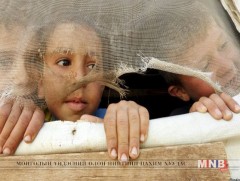 Дүрвэгчдийн Кале хуарангийн хүүхдүүдийн эхний хэсэг Их Британид хүрэлцэн ирлээ