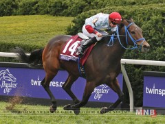 “Mongolian Saturday” хэмээх хээр морь үнэнхүү хурдан буян