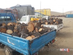 Түлээ модны тэтгэмжийг 380 иргэнд олгоно       