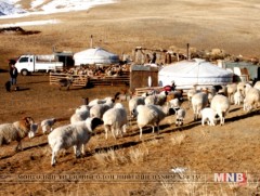 Булган аймгийн нийт нутгийн 30 орчим хувьд  өвөлжилт хүндэрч болзошгүй   